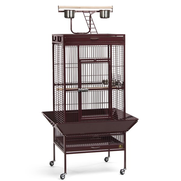 Quaker Parrot Large Floor Bird Cages You'll Love Wayfair.ie